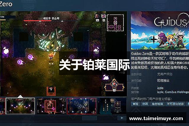关于铂莱国际